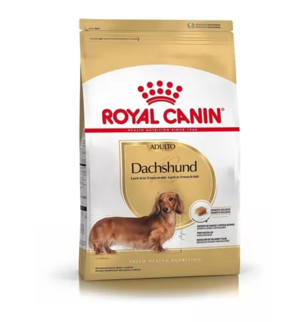 Royal Canin Perro Dachshund Adult