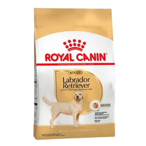 Royal Canin Perro Labrador Retriever Adult