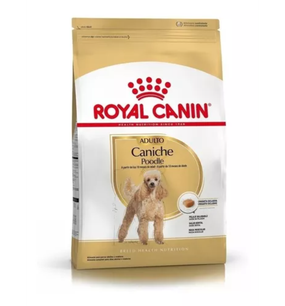 Royal Canin Perro Caniche Adult