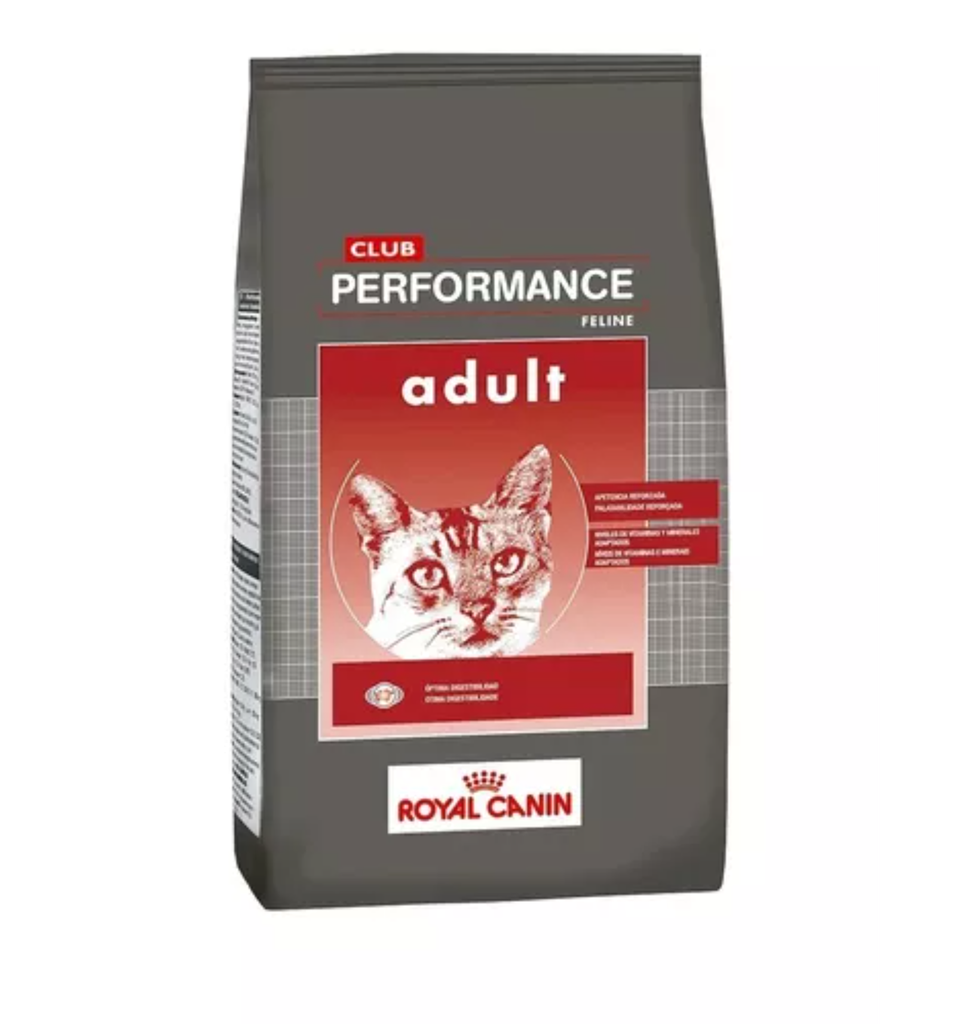 Royal Canin Gato Club Performance Adult