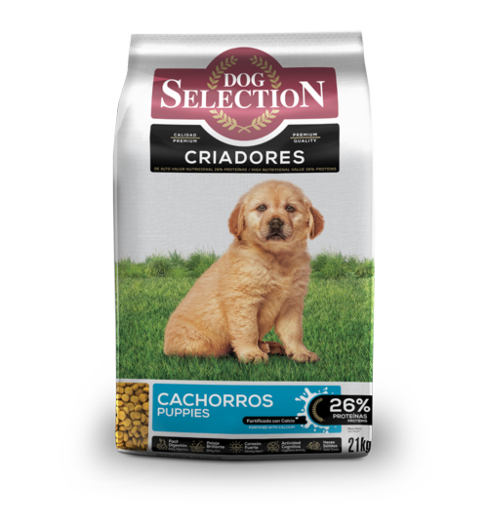 Dog Selection Perro Criadores cachorros 21 Kg