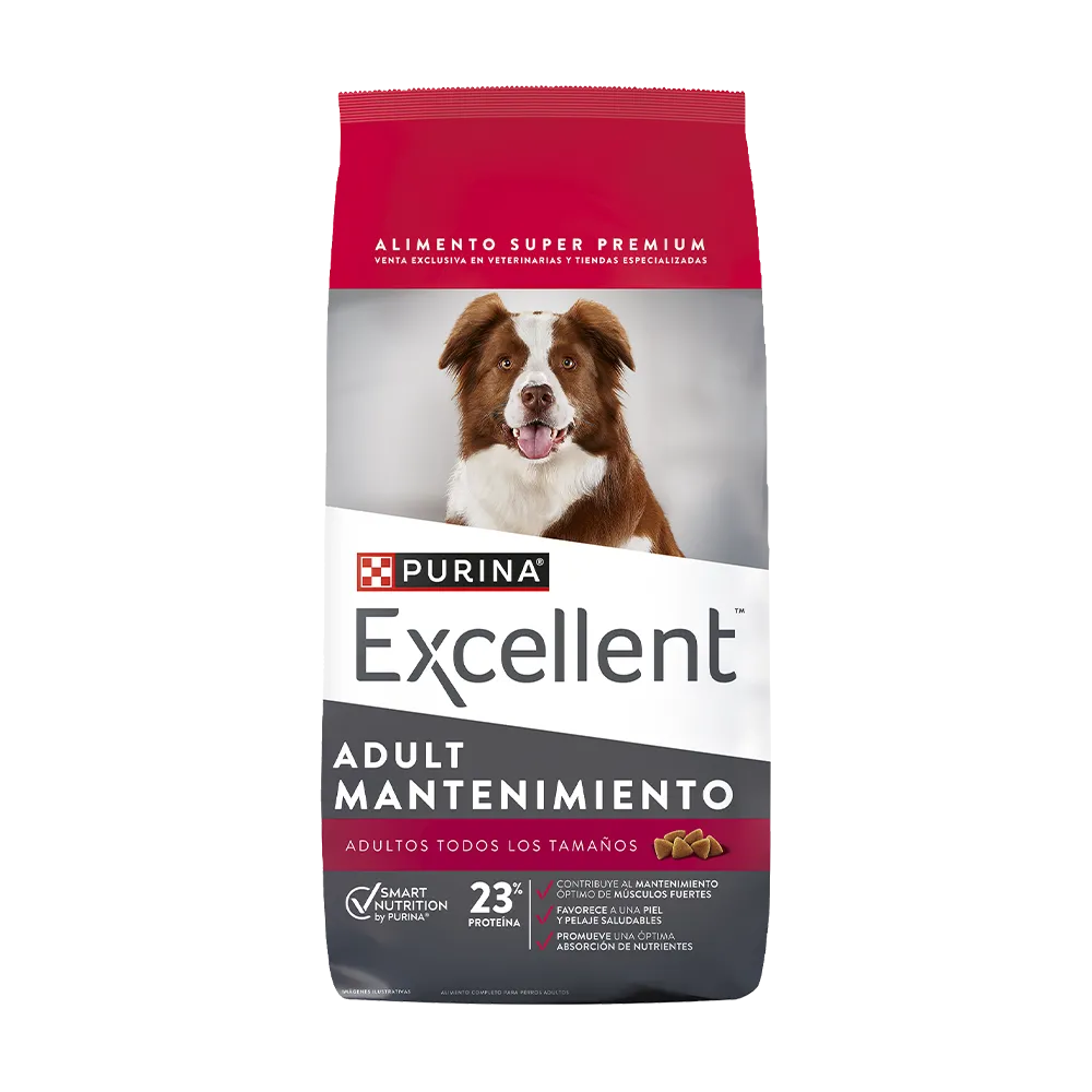 Excellent Perro Maintenance Adulto