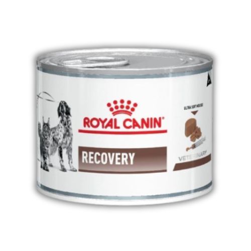 Royal Canin Lata Recovery Perros y Gatos 195 g