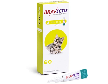 Pipeta Bravecto para Gato Pequeño 1,2 a 2,8 Kg