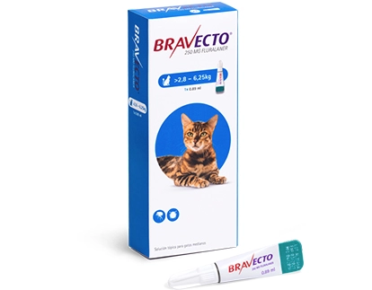 Pipeta Bravecto para Gato Grande 2,8 a 6,25 Kg