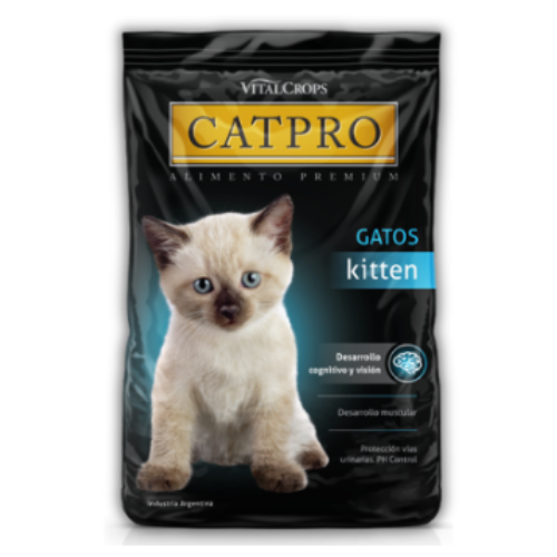 Catpro Gato Kitten