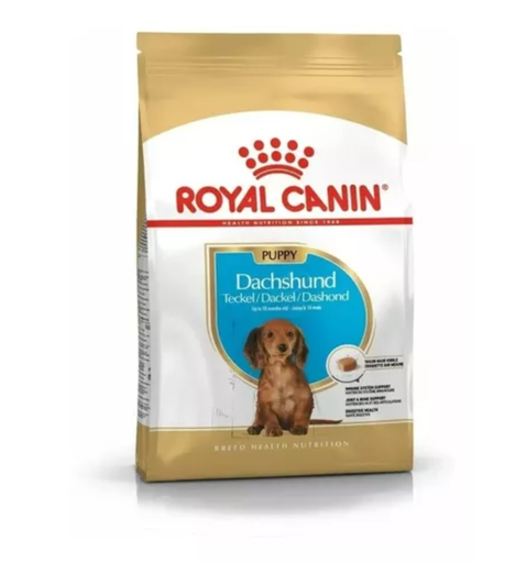 Royal Canin Perro Dachshund Puppy