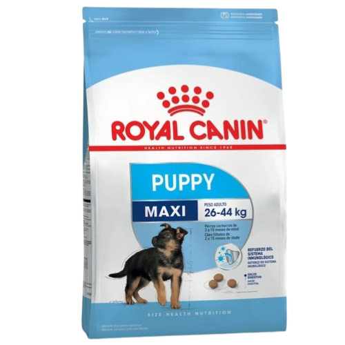 Royal Canin Perro Maxi Puppy