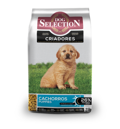 [7678] Dog Selection Perro Criadores cachorros 21 Kg