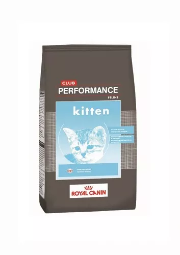 Royal Canin Gato Club Performance Kitten